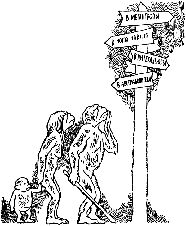 i_034.png