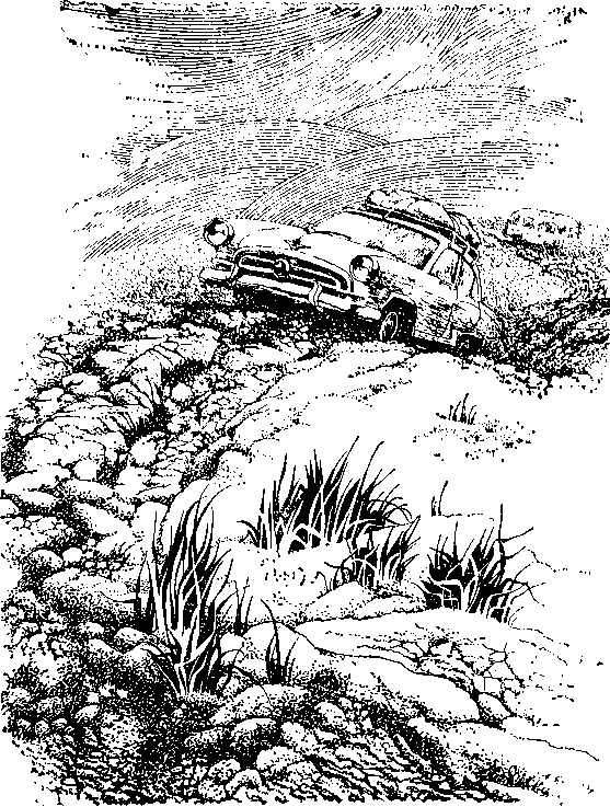 Каникулы на колесах i_004.png