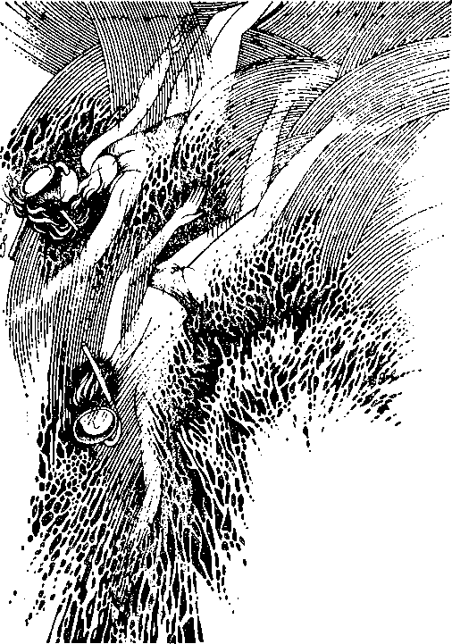 Каникулы на колесах i_008.png