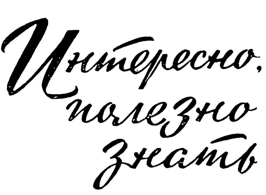 История - увлекательная наука _4.jpg