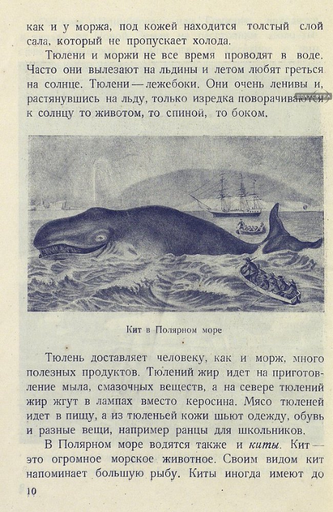 Архангельские робинзоны _11.jpg