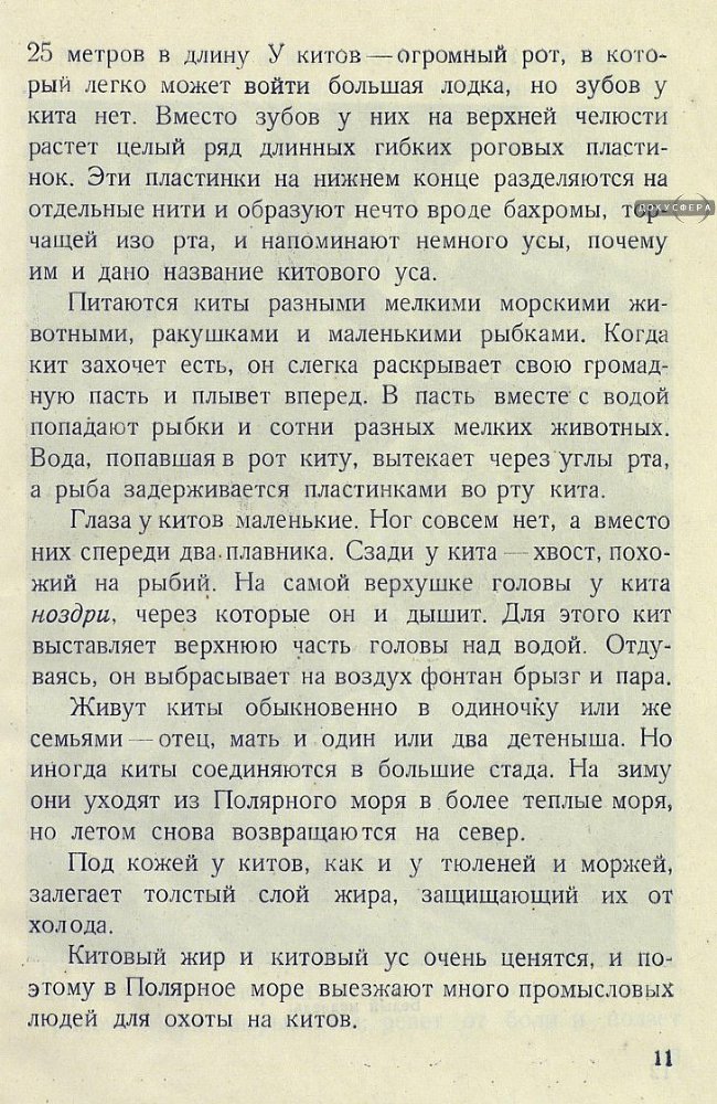 Архангельские робинзоны _12.jpg