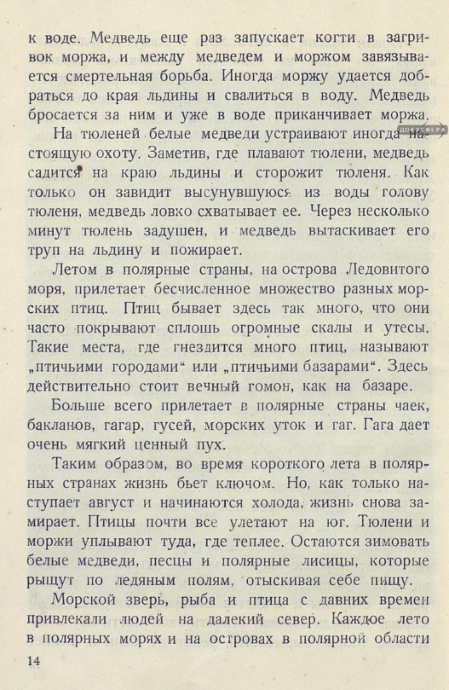 Архангельские робинзоны _15.jpg