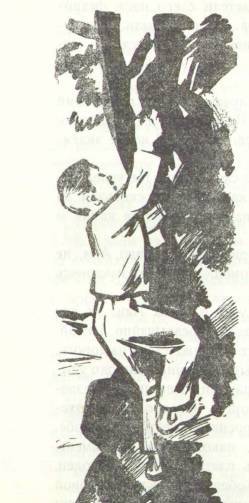 Али _4.jpg