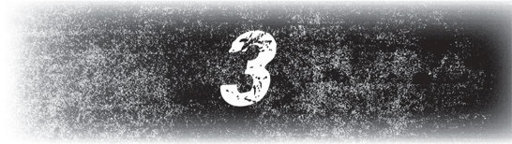 Brush Back _3.jpg