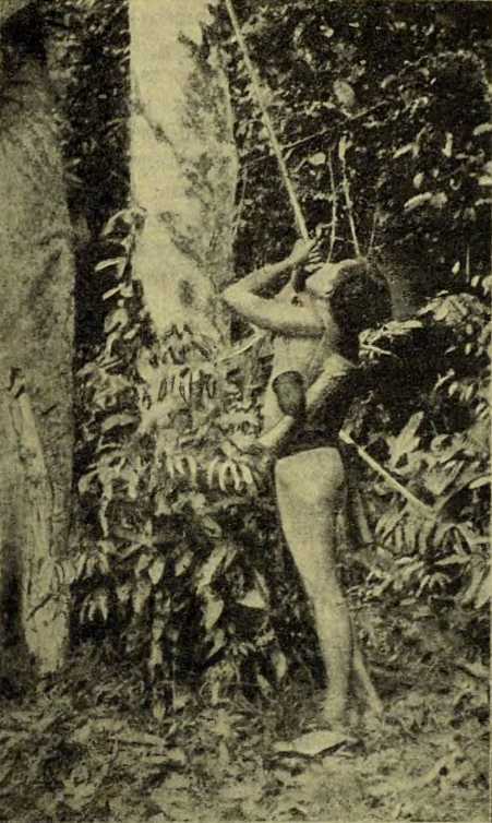 i_016.jpg
