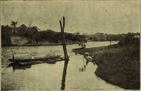 i_017.jpg