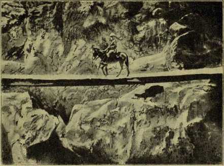 i_007.jpg