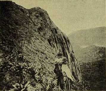 i_008.jpg