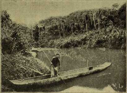 i_010.jpg