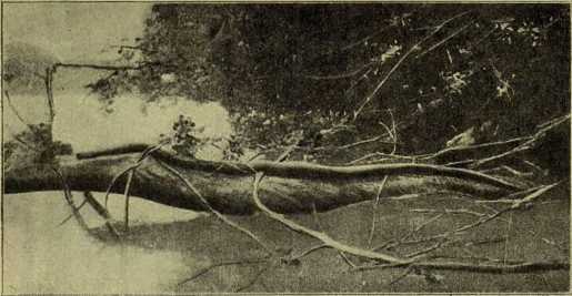 i_014.jpg