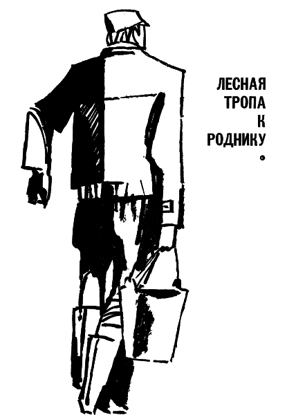У подножия вулкана. Рассказы. Лесная тропа к роднику i_006.png