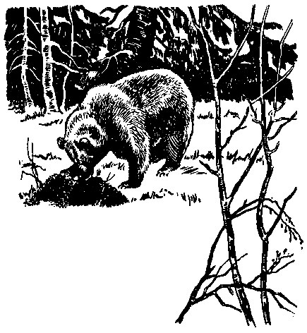 Пашка из Медвежьего лога (илл. В. Мешкова) pic_20.png