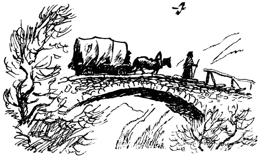 Цветы на пепелище (сборник) _4.jpg