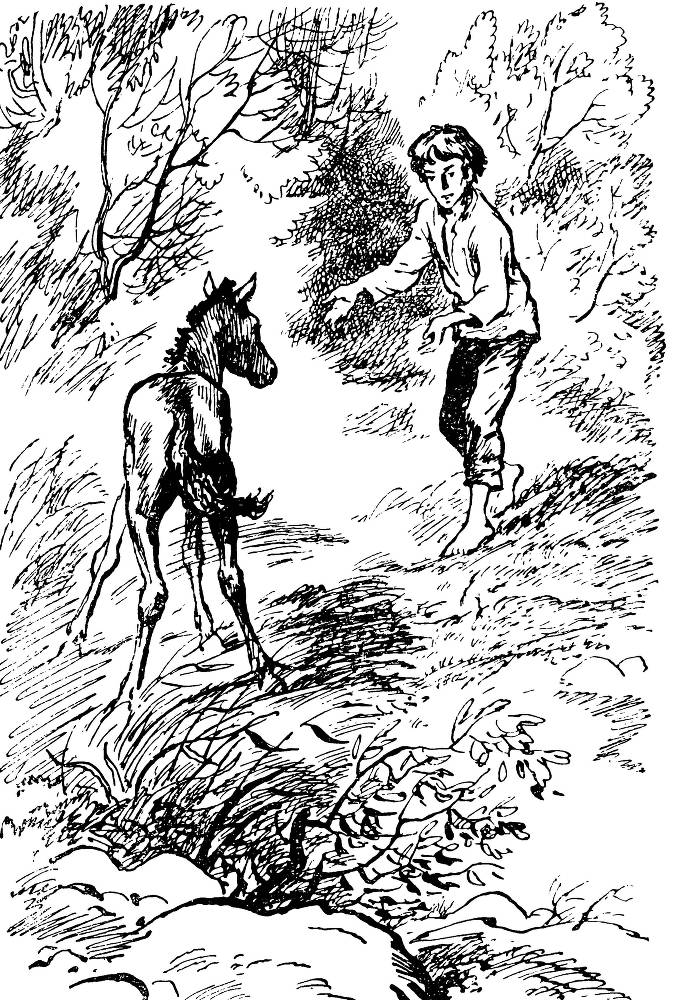Цветы на пепелище (сборник) _7.jpg