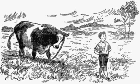 Невиданная птица (сборник) i_008.png