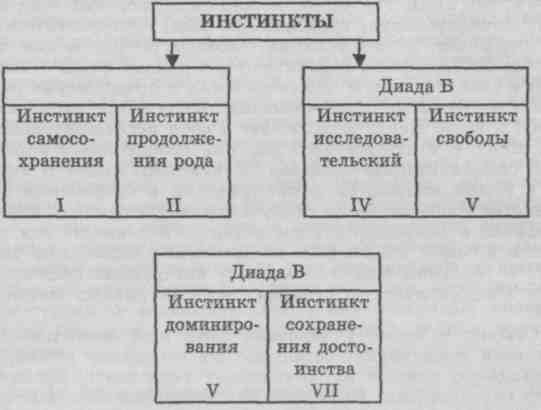 Основы психологии imagerId33.jpg