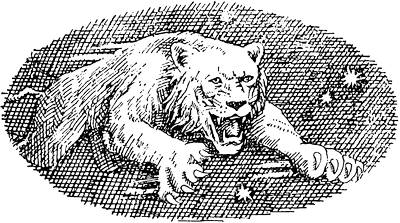 Неприкасаемые (др. перевод) i_004.png