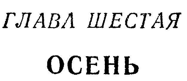 Ясный берег _10.jpg