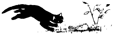 Джек покоритель великанов и другие сказки для детей pic_138.png