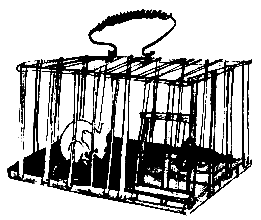 Джек покоритель великанов и другие сказки для детей pic_140.png