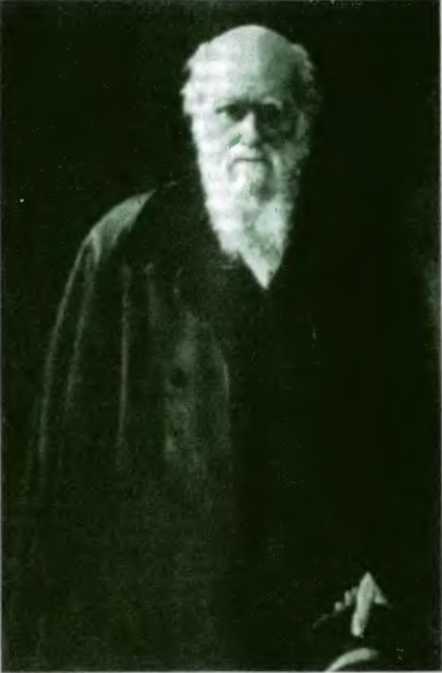 Древо познания image44.jpg