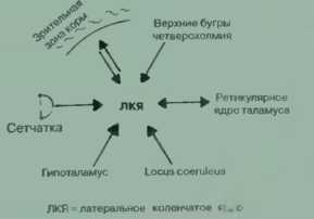 Древо познания image72.jpg
