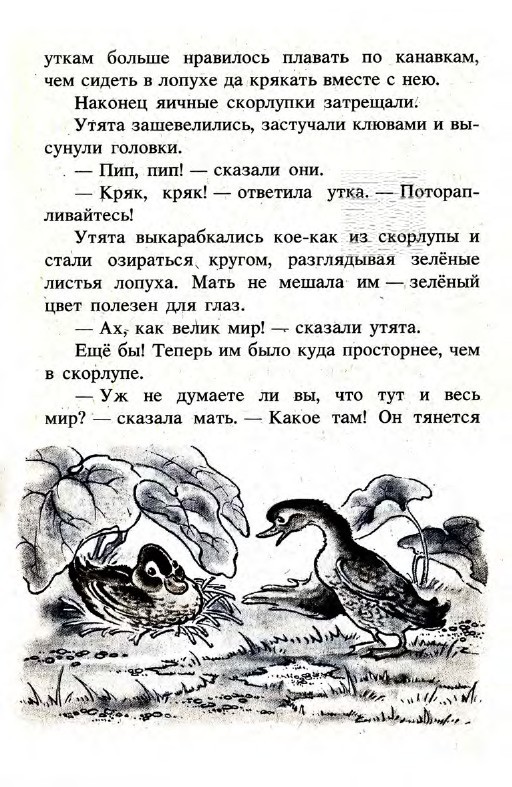 Подарки феи (сборник) _31.jpg