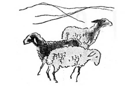 Азербайджанские тюркские сказки _217.jpg