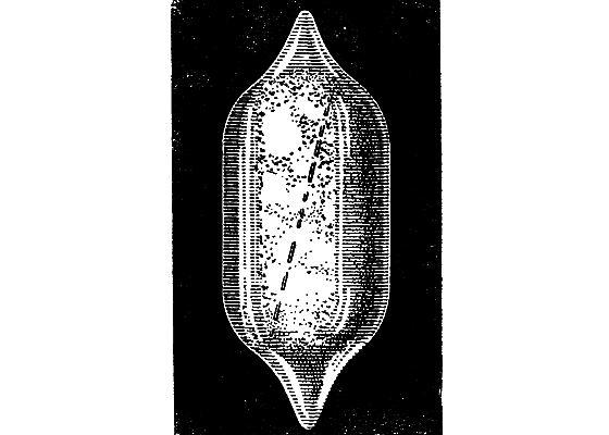 Охотники за частицами i_009.png