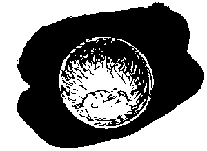 Женщина в зеркале absh18a.png