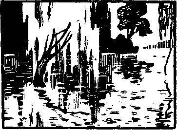 Говорите любимым о любви _9.jpg