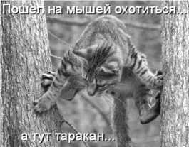 Не служил бы я на флоте… II _71.jpg