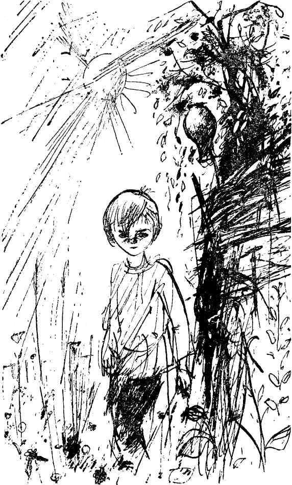 Судьба Алексея Ялового (сборник) img_3.jpeg