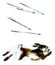 Скифы в остроконечных шапках (илл. В. Хвостова) pic_56.jpg
