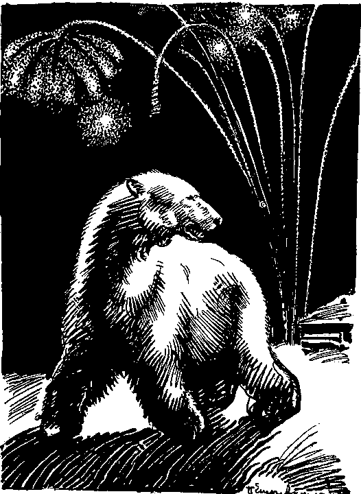 Радио на Маре-Сале i_004.png