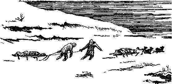 Путь к океану (сборник) _8.jpg