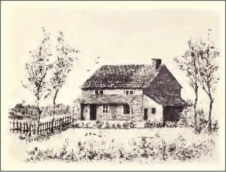 i_007.jpg