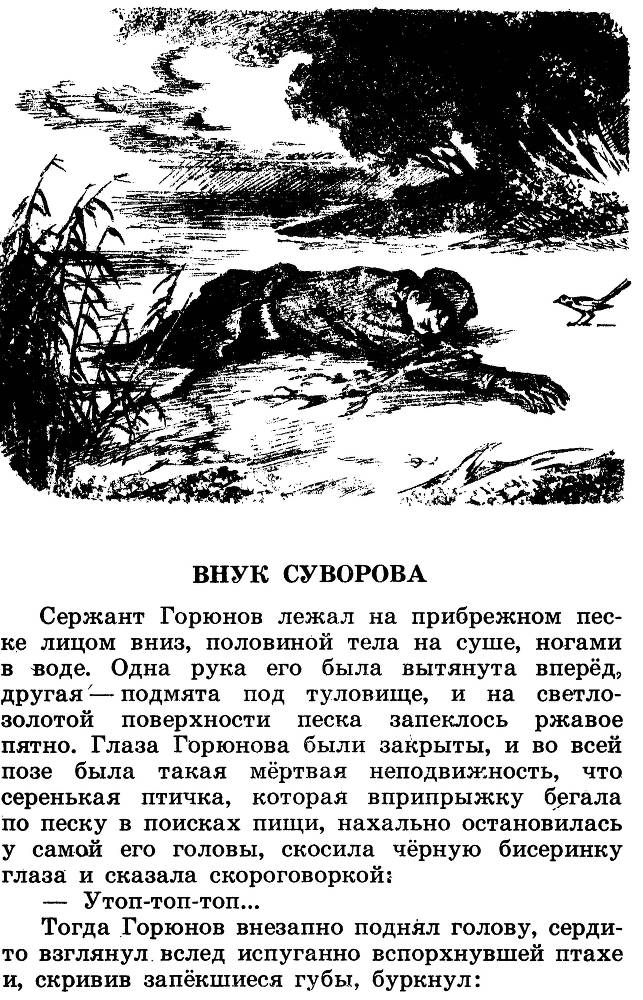 Разведчик Вихров _50.jpg