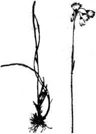 i_006.jpg