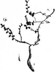 i_007.jpg