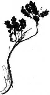i_008.jpg