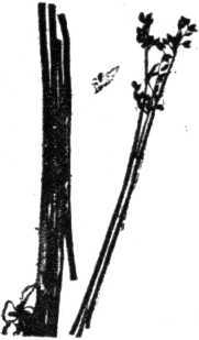 i_009.jpg