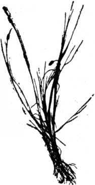 i_010.jpg