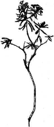 i_013.jpg
