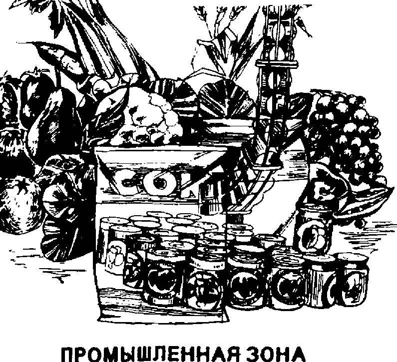 Тирасполь _6.jpg