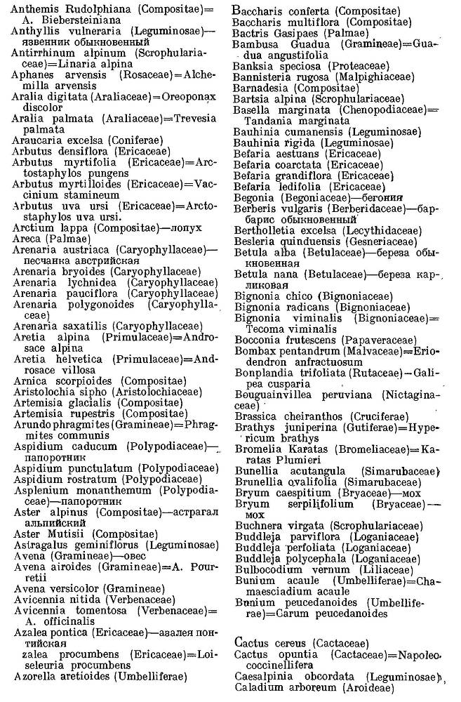 География растений _37.jpg