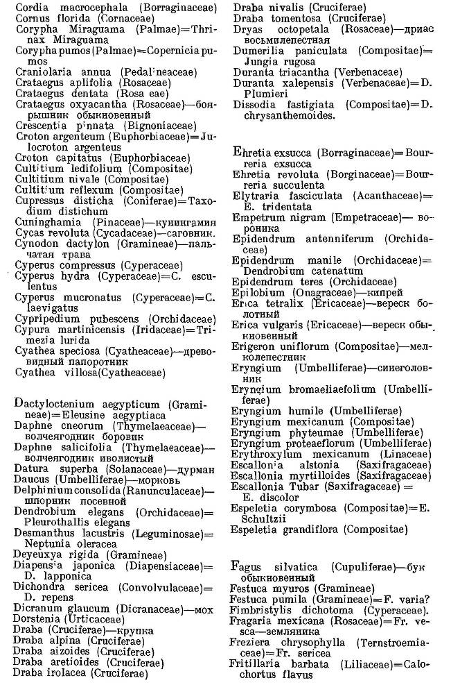 География растений _39.jpg