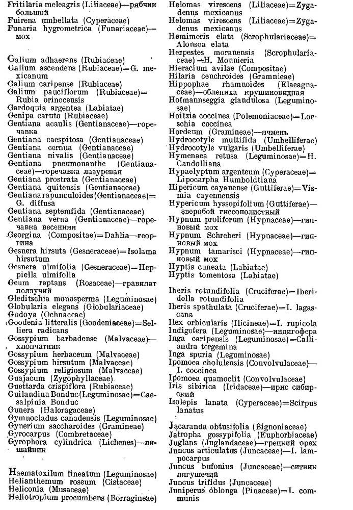 География растений _40.jpg