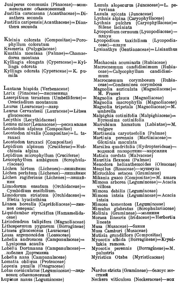 География растений _41.jpg